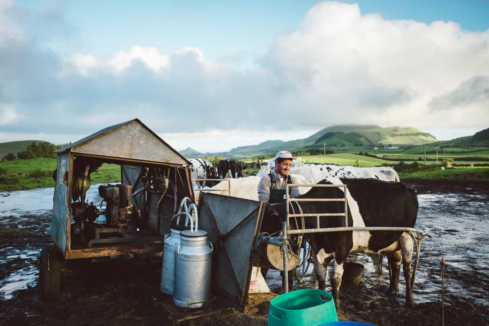 Azorean Milk