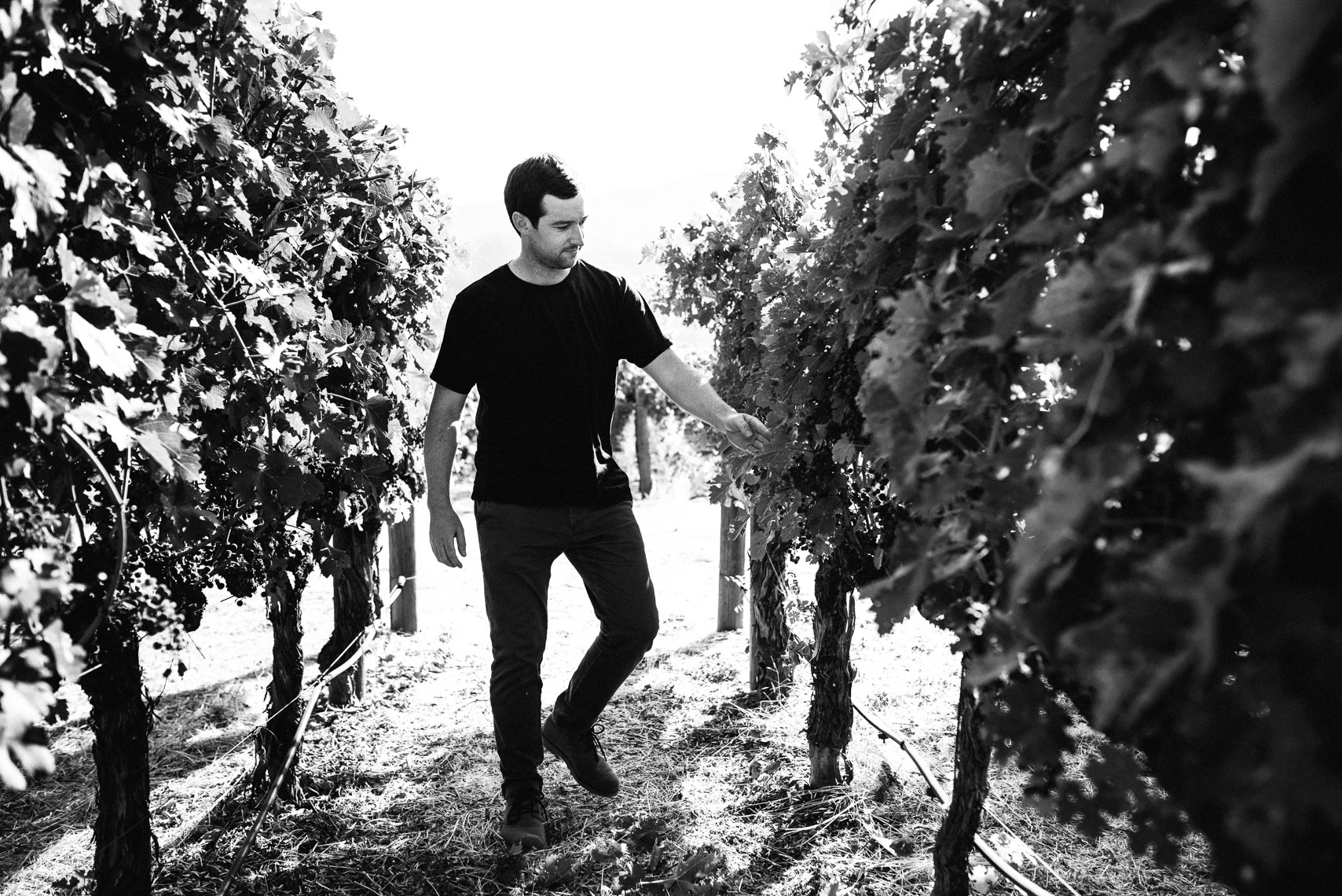 Colin Gordon //Bydand Wines