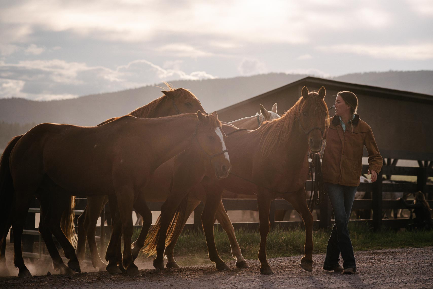 Wrangling