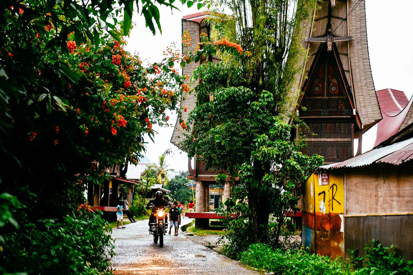 040_SulawesiMB