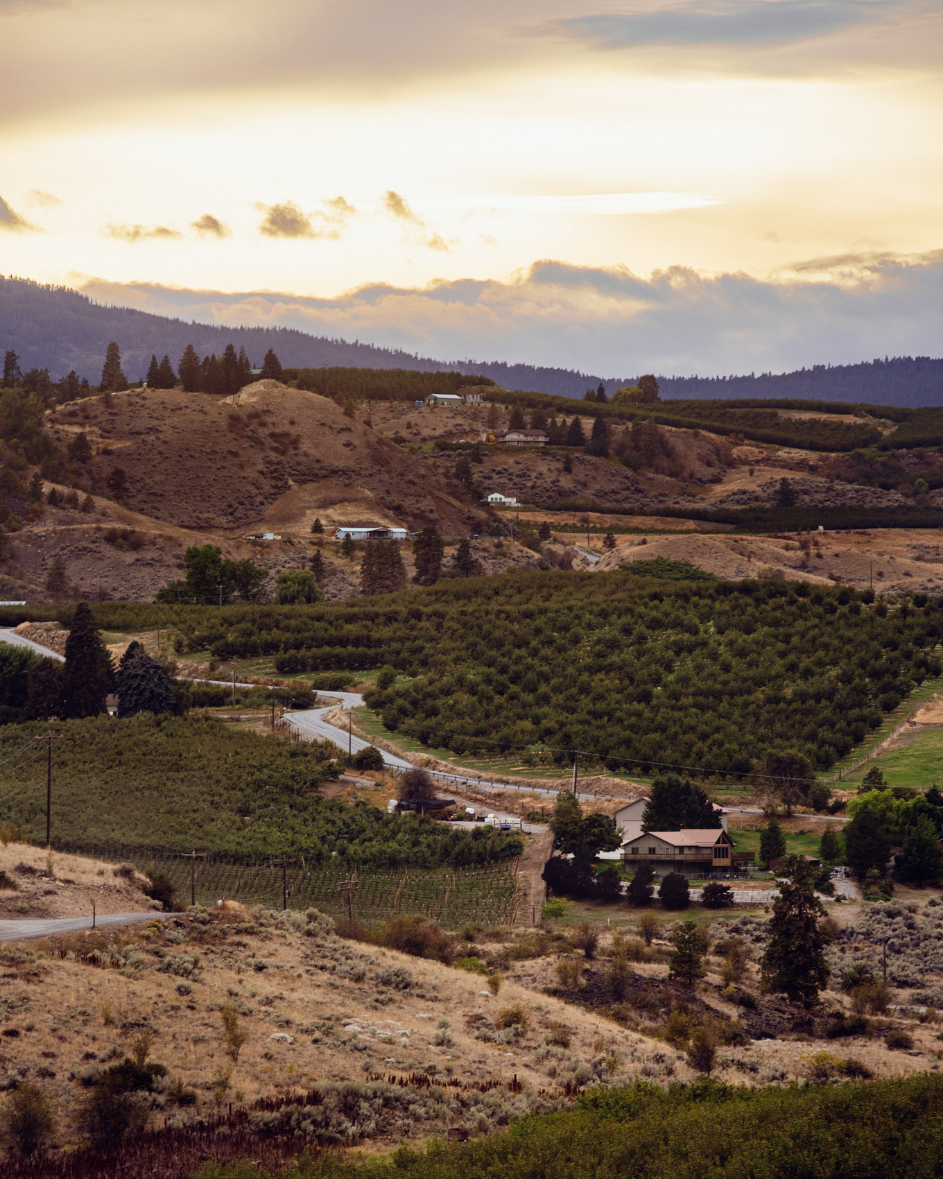 Malaga Springs
