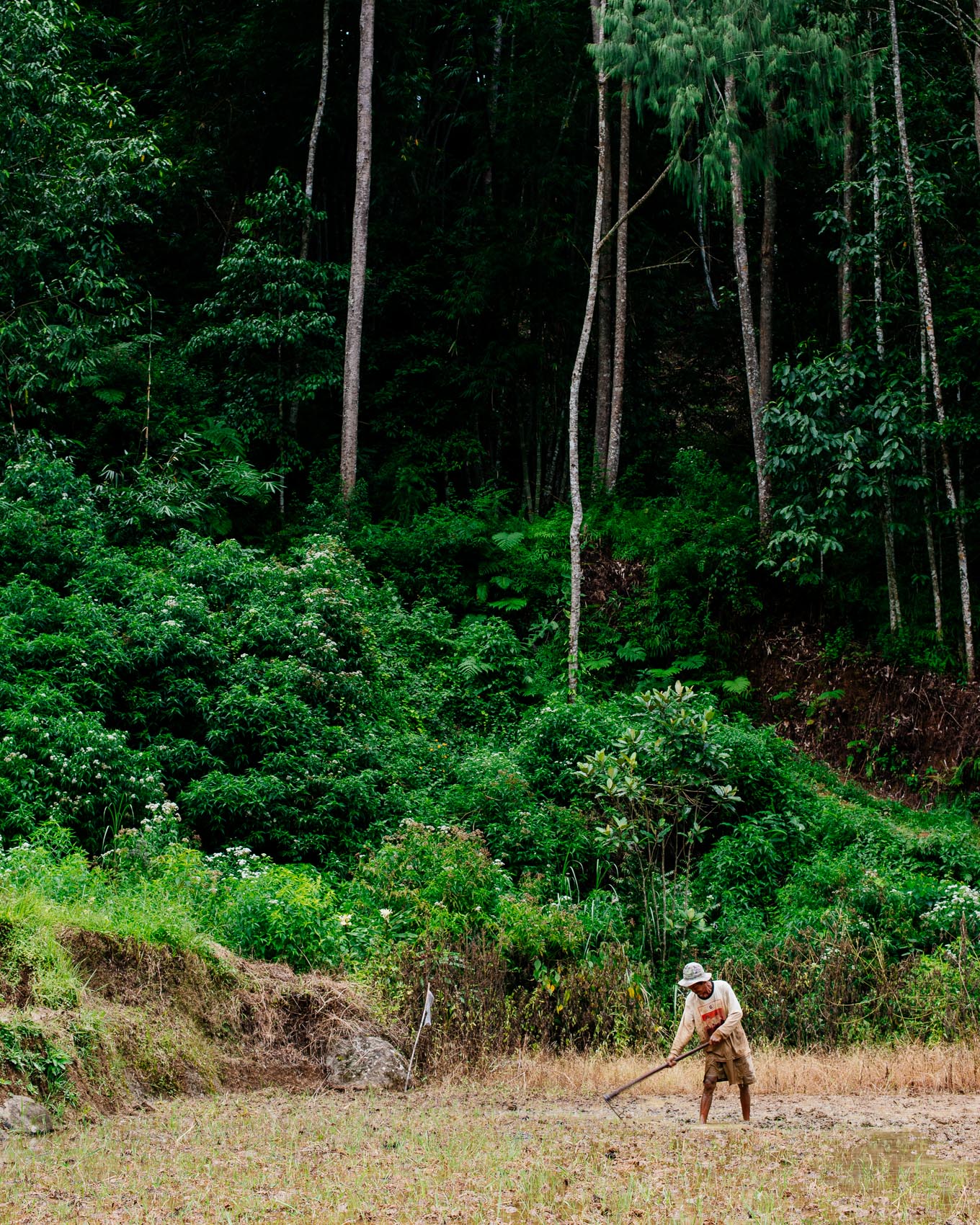 Tana Toraja